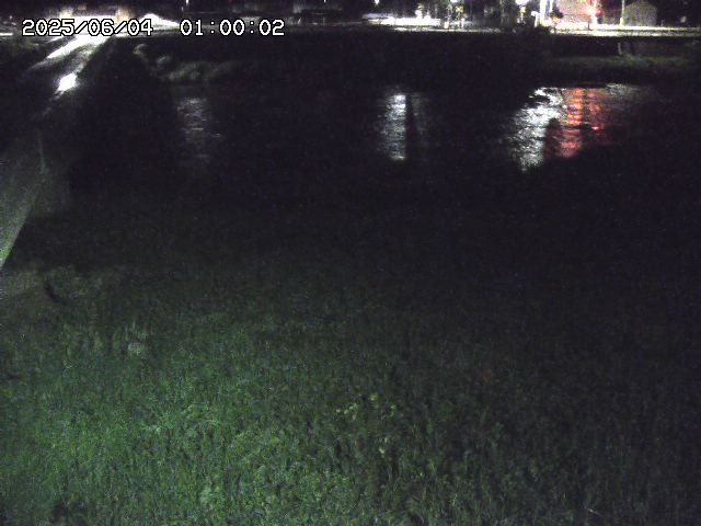 日野川６2025/06/04 2:50:00