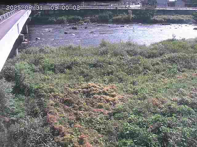 日野川６2025/08/31 11:20:00
