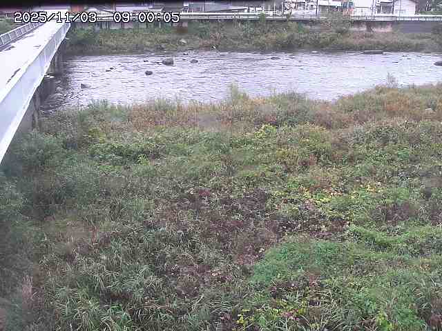 日野川６2025/11/03 19:50:00