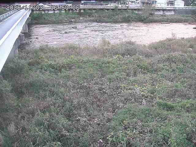 日野川６2025/11/03 19:50:00