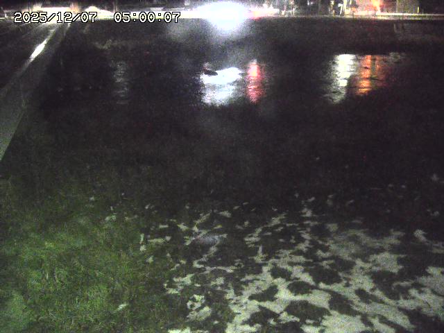 日野川６2025/12/07 16:10:00