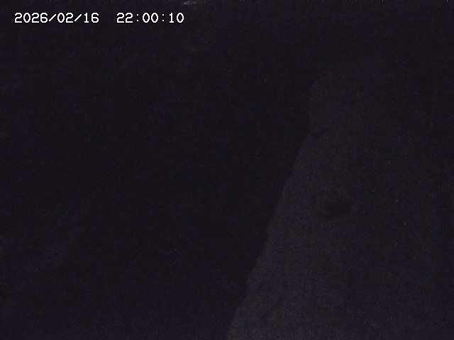 板井原川２2026/02/17 16:40:00