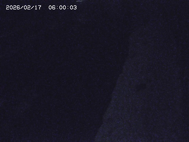 板井原川２2026/02/17 16:40:00