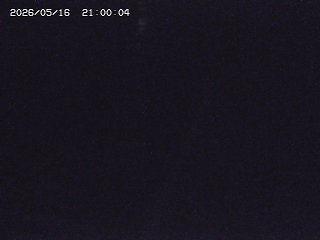 板井原川２2026/05/17 21:00:00