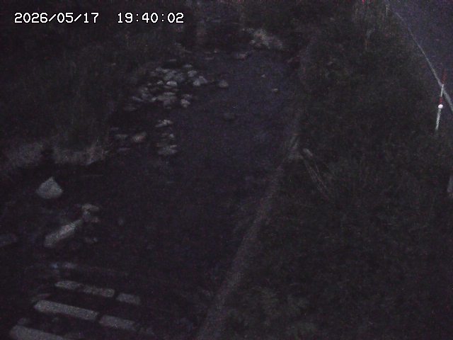 板井原川２2026/05/17 21:00:00