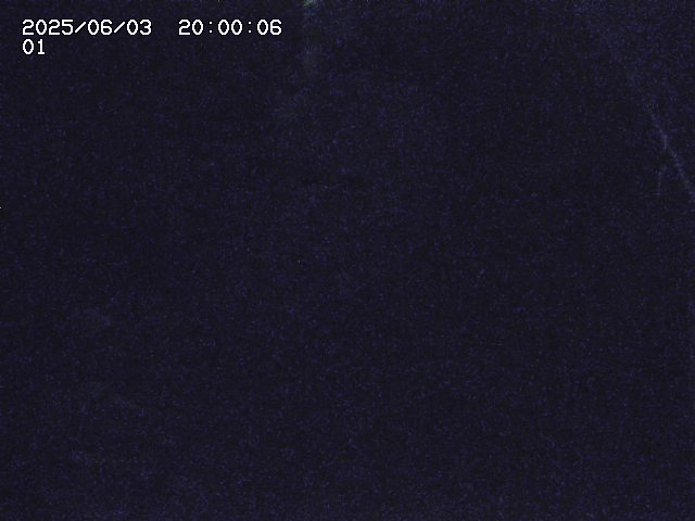 板井原川２2025/06/04 3:20:00