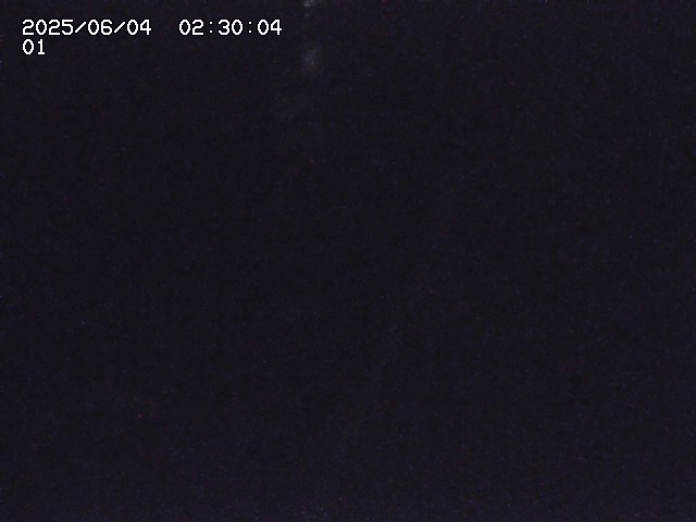 板井原川２2025/06/04 3:20:00