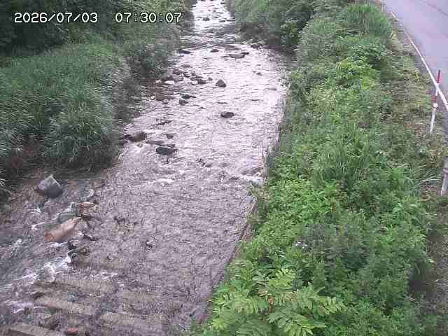 板井原川２2026/07/03 9:30:00
