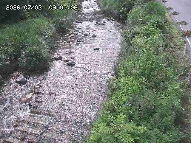板井原川２2026/07/03 9:30:00