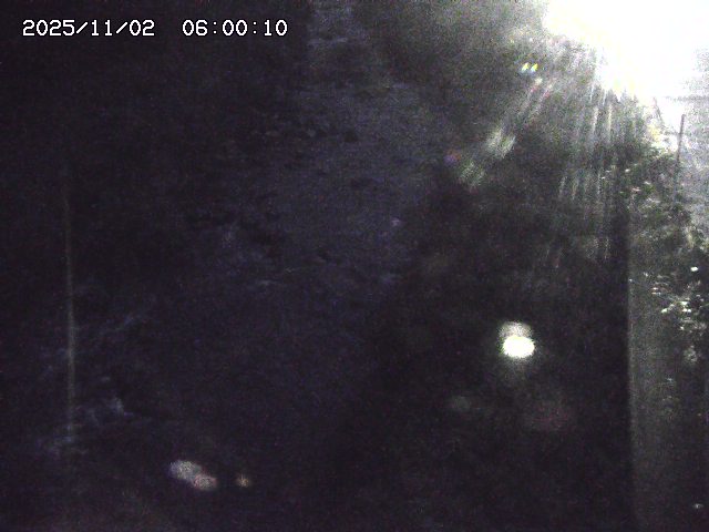 板井原川２2025/11/02 21:30:00