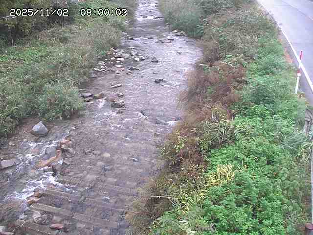 板井原川２2025/11/02 21:30:00