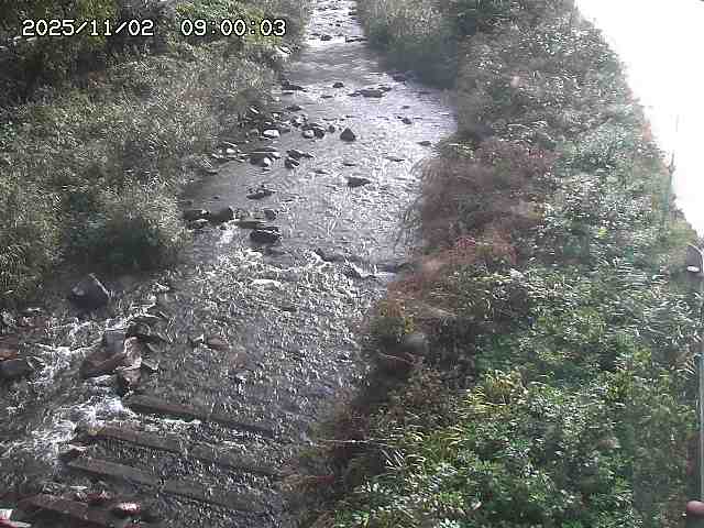 板井原川２2025/11/02 21:30:00