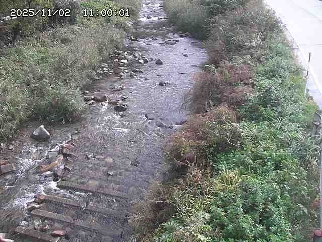 板井原川２2025/11/02 21:30:00