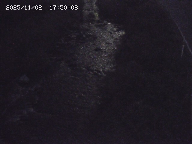 板井原川２2025/11/02 21:30:00