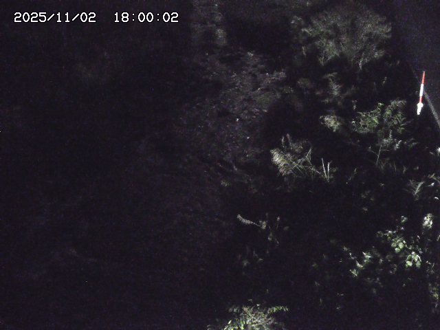 板井原川２2025/11/02 21:30:00