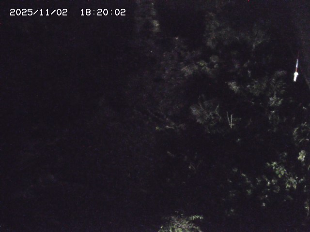 板井原川２2025/11/02 21:30:00