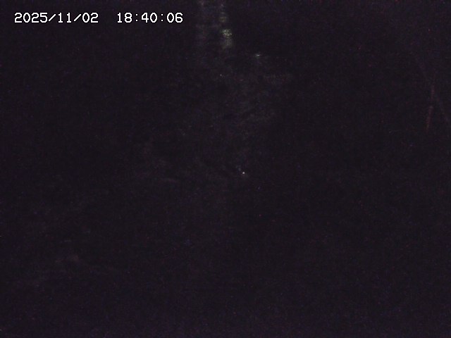 板井原川２2025/11/02 21:30:00