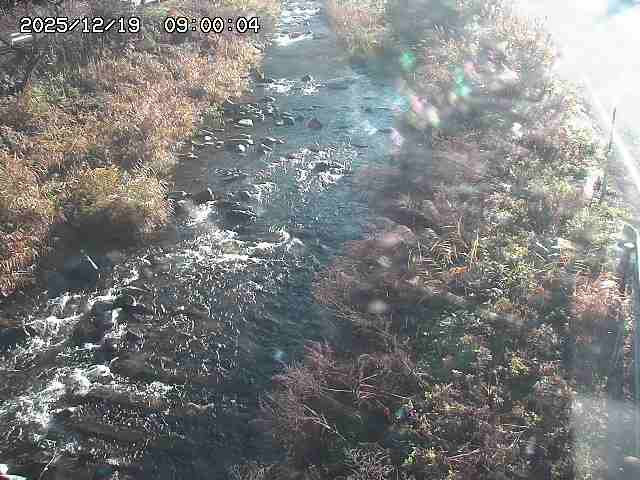 板井原川２2025/12/19 17:40:00