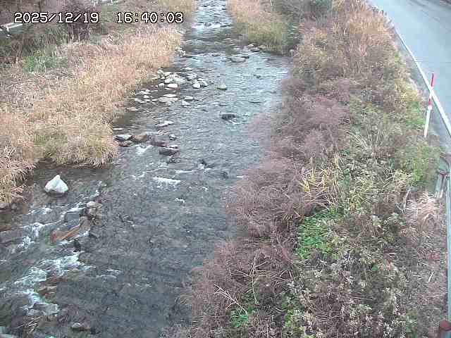 板井原川２2025/12/19 17:40:00