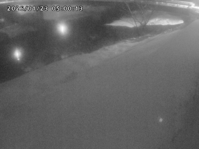 河内川１2026/01/24 3:00:00