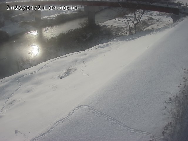 河内川１2026/01/24 3:00:00