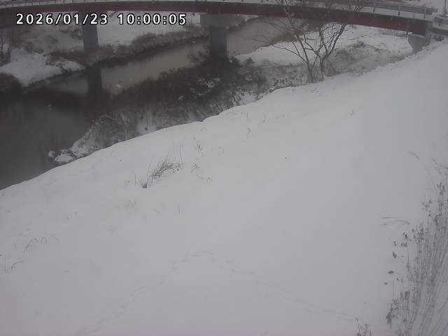 河内川１2026/01/24 3:00:00