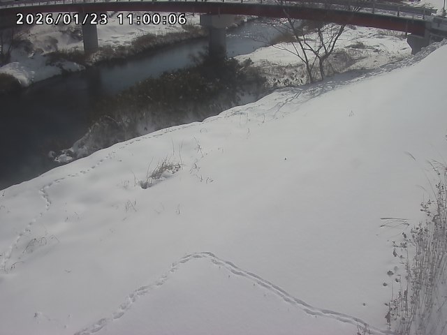 河内川１2026/01/24 3:00:00