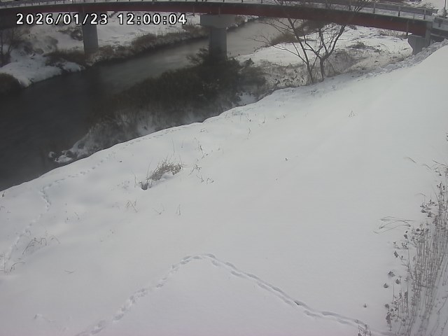 河内川１2026/01/24 3:00:00