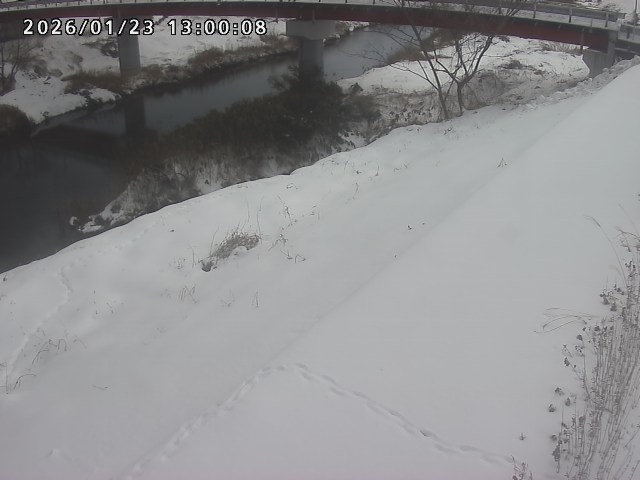 河内川１2026/01/24 3:00:00