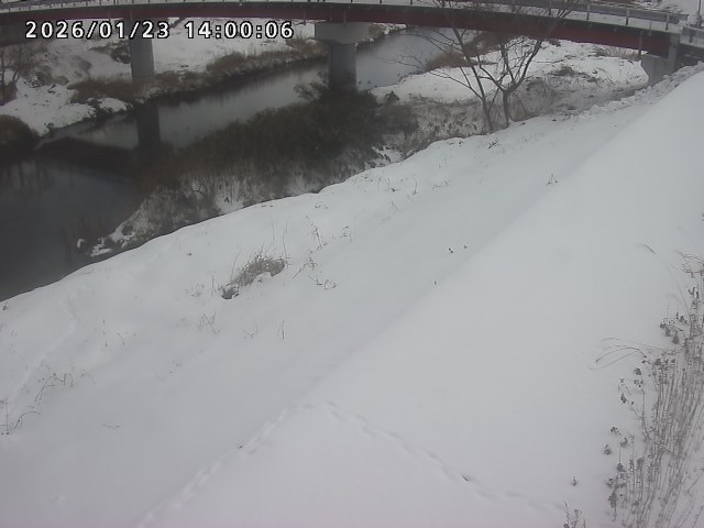 河内川１2026/01/24 3:00:00