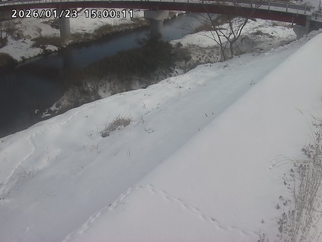 河内川１2026/01/24 3:00:00
