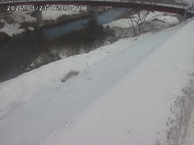 河内川１2026/01/24 3:00:00