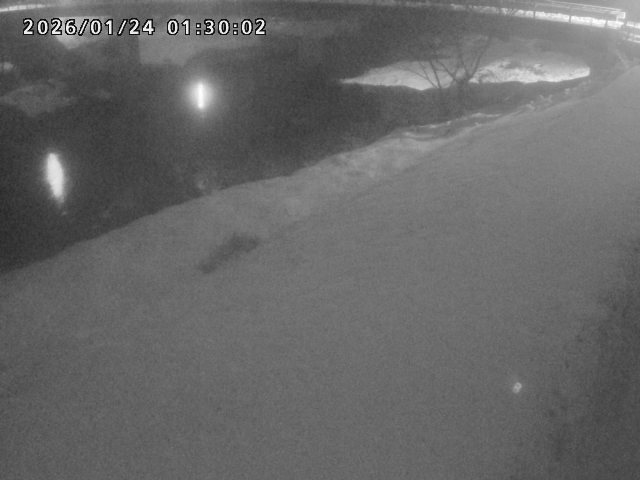 河内川１2026/01/24 3:00:00