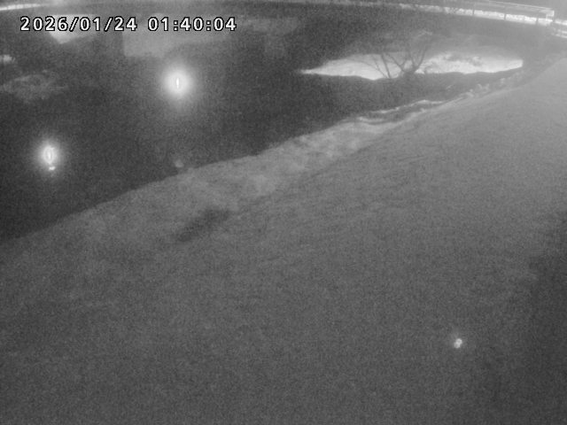 河内川１2026/01/24 3:00:00