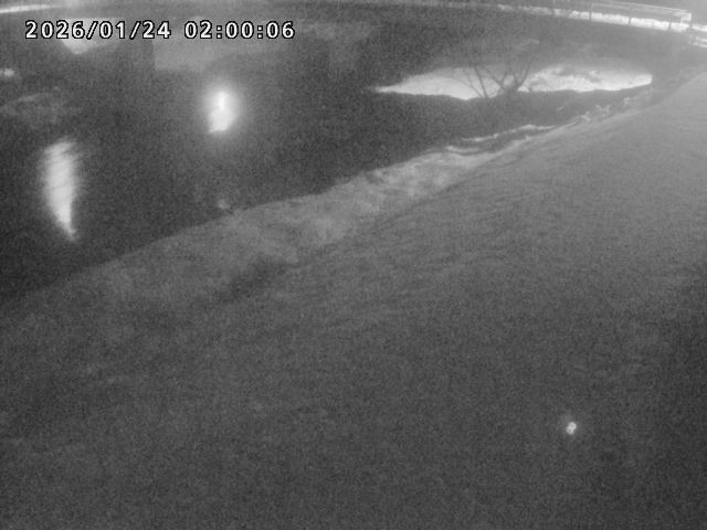 河内川１2026/01/24 3:00:00