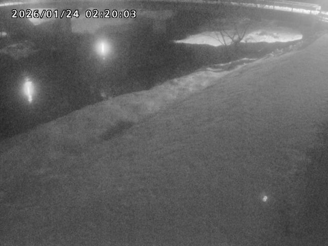 河内川１2026/01/24 3:00:00