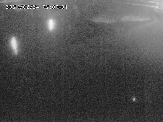 河内川１2026/02/25 2:30:00