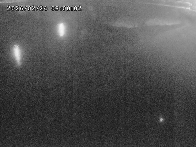 河内川１2026/02/25 2:30:00