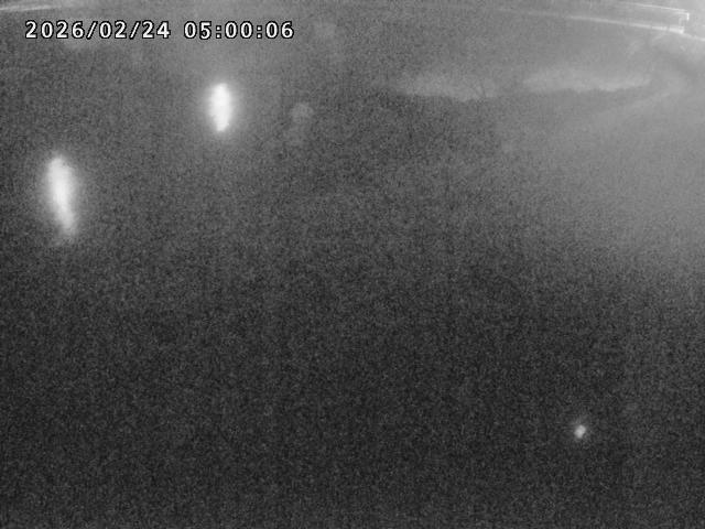 河内川１2026/02/25 2:30:00