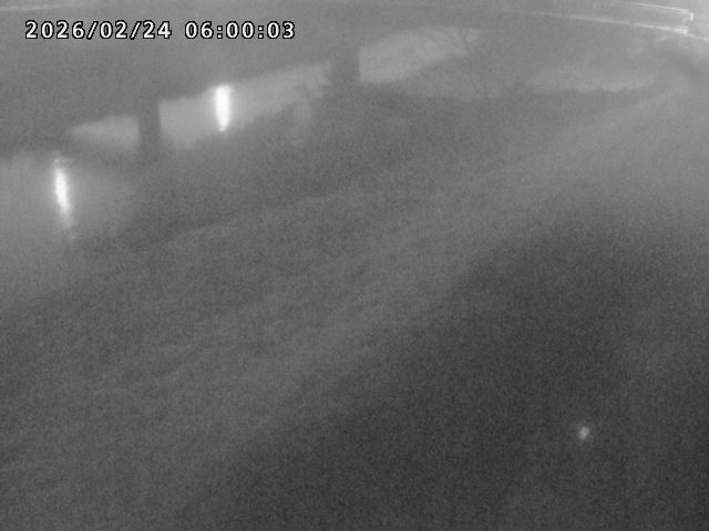 河内川１2026/02/25 2:30:00