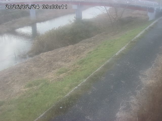 河内川１2026/02/25 2:30:00