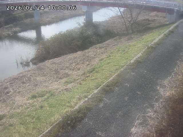 河内川１2026/02/25 2:30:00