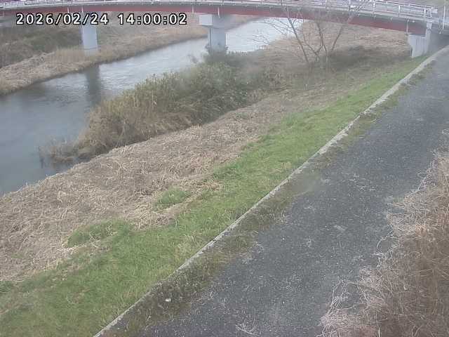 河内川１2026/02/25 2:30:00