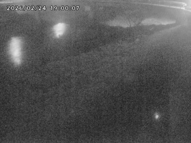 河内川１2026/02/25 2:30:00