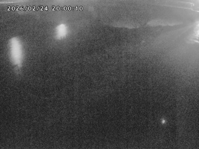 河内川１2026/02/25 2:30:00