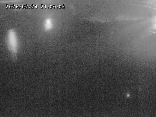 河内川１2026/02/25 2:30:00