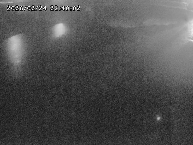 河内川１2026/02/25 2:30:00