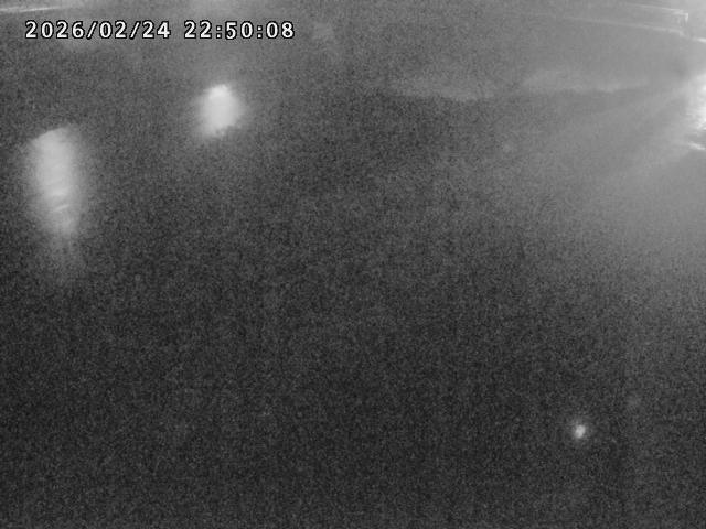 河内川１2026/02/25 2:30:00