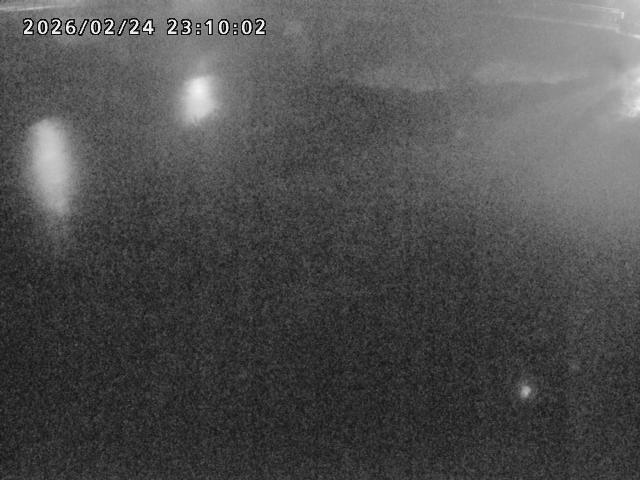 河内川１2026/02/25 2:30:00