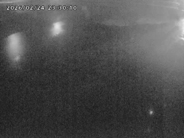 河内川１2026/02/25 2:30:00